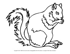 Ausmalbild-Eichhörnchen-B 4.pdf